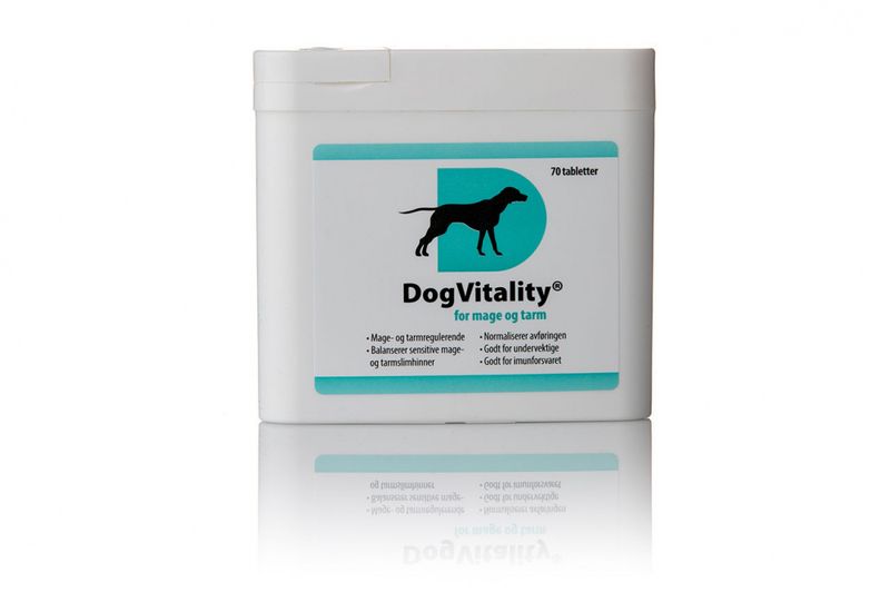 DOGVITALITY - FOR MAGE & TARM