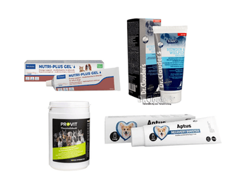 Hovedbilde Energi og støtte