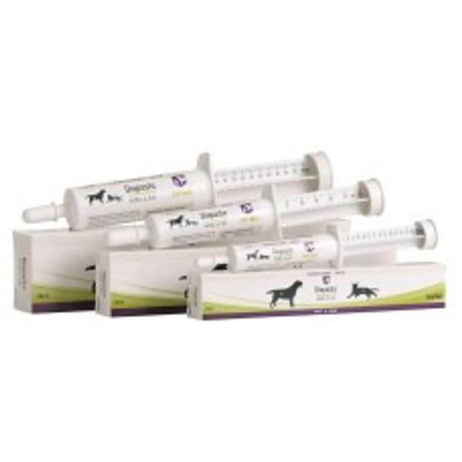 Hovedbilde DIAPASTE HUND OG KATT