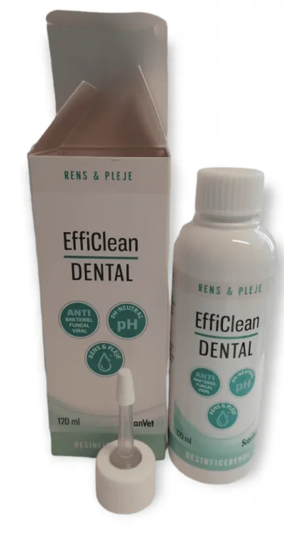EFFICLEAN DENTAL 