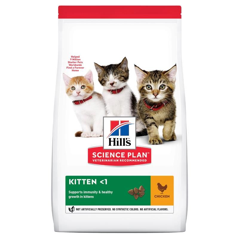 SP Kitten Chicken