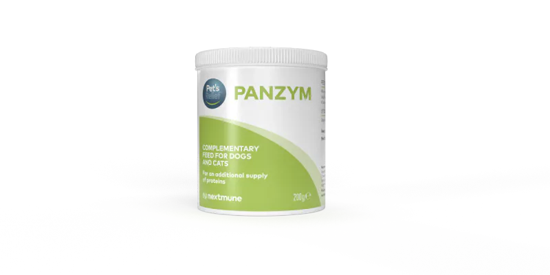 PANZYM 