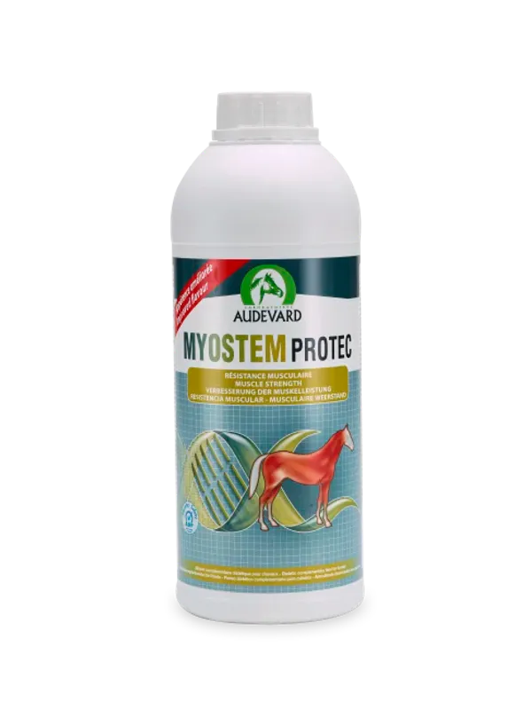 Myostem Protec Fôrtilskudd Til Hest, 900 ml